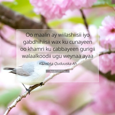 Picture 07 - Ayuub 1:13 SOM - Oo maalin ay wiilashiisii iyo gabdhihiisii wax ku - Bible Verse Picture