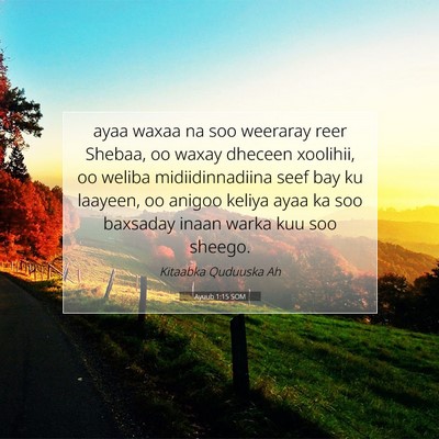 Picture 07 - Ayuub 1:15 SOM - ayaa waxaa na soo weeraray reer Shebaa, oo waxay - Bible Verse Picture