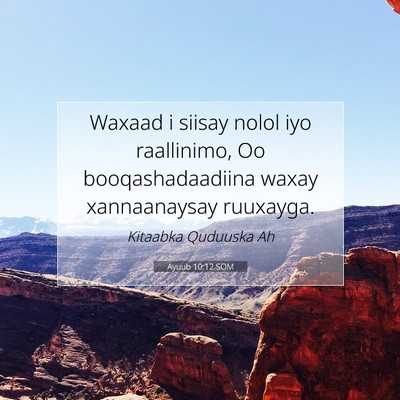 Picture 07 - Ayuub 10:12 SOM - Waxaad i siisay nolol iyo raallinimo, Oo - Bible Verse Picture