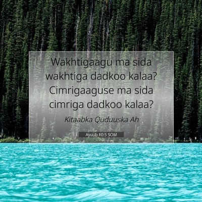 Picture 07 - Ayuub 10:5 SOM - Wakhtigaagu ma sida wakhtiga dadkoo kalaa? - Bible Verse Picture