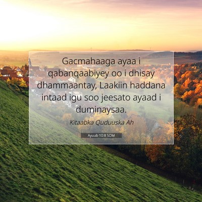 Picture 07 - Ayuub 10:8 SOM - Gacmahaaga ayaa i qabanqaabiyey oo i dhisay - Bible Verse Picture