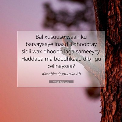 Picture 07 - Ayuub 10:9 SOM - Bal xusuuso waan ku baryayaaye inaad ii dhoobtay - Bible Verse Picture