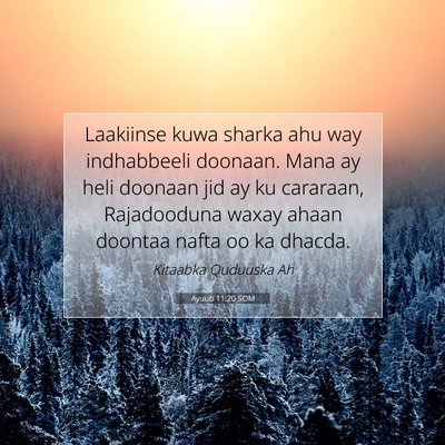Picture 07 - Ayuub 11:20 SOM - Laakiinse kuwa sharka ahu way indhabbeeli - Bible Verse Picture