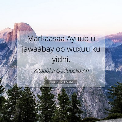 Picture 07 - Ayuub 12:1 SOM - Markaasaa Ayuub u jawaabay oo wuxuu ku - Bible Verse Picture