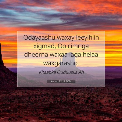 Picture 07 - Ayuub 12:12 SOM - Odayaashu waxay leeyihiin xigmad, Oo cimriga - Bible Verse Picture