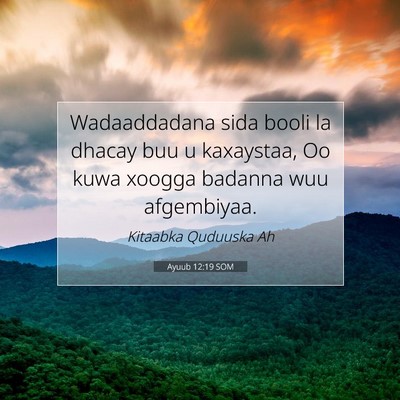 Picture 07 - Ayuub 12:19 SOM - Wadaaddadana sida booli la dhacay buu u - Bible Verse Picture