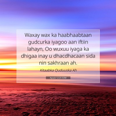 Picture 07 - Ayuub 12:25 SOM - Waxay wax ka haabhaabtaan gudcurka iyagoo aan - Bible Verse Picture