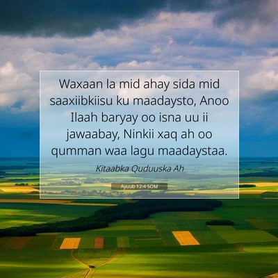 Picture 07 - Ayuub 12:4 SOM - Waxaan la mid ahay sida mid saaxiibkiisu ku - Bible Verse Picture