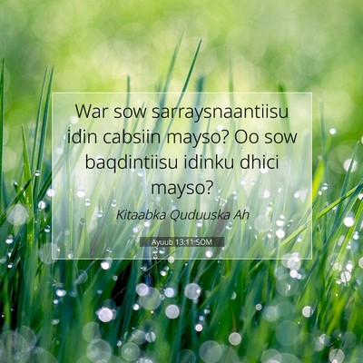 Picture 07 - Ayuub 13:11 SOM - War sow sarraysnaantiisu idin cabsiin mayso? Oo - Bible Verse Picture