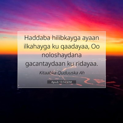 Picture 07 - Ayuub 13:14 SOM - Haddaba hilibkayga ayaan ilkahayga ku qaadayaa, - Bible Verse Picture