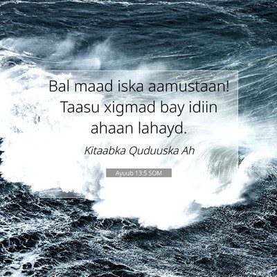 Picture 07 - Ayuub 13:5 SOM - Bal maad iska aamustaan! Taasu xigmad bay idiin - Bible Verse Picture