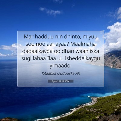 Picture 07 - Ayuub 14:14 SOM - Mar hadduu nin dhinto, miyuu soo noolaanayaa? - Bible Verse Picture