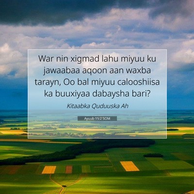 Picture 07 - Ayuub 15:2 SOM - War nin xigmad lahu miyuu ku jawaabaa aqoon aan - Bible Verse Picture