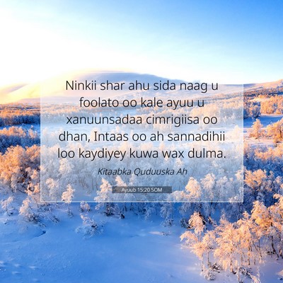 Picture 07 - Ayuub 15:20 SOM - Ninkii shar ahu sida naag u foolato oo kale ayuu - Bible Verse Picture