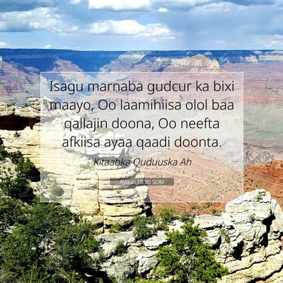 Picture 07 - Ayuub 15:30 SOM - Isagu marnaba gudcur ka bixi maayo, Oo laamihiisa - Bible Verse Picture