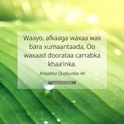 Picture 07 - Ayuub 15:5 SOM - Waayo, afkaaga waxaa wax bara xumaantaada, Oo - Bible Verse Picture