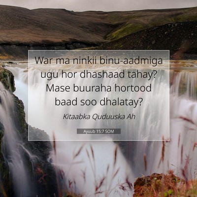 Picture 07 - Ayuub 15:7 SOM - War ma ninkii binu-aadmiga ugu hor dhashaad - Bible Verse Picture