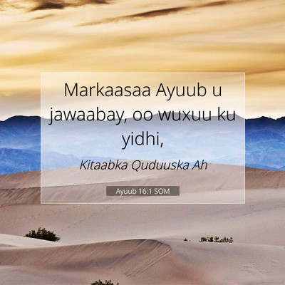 Picture 07 - Ayuub 16:1 SOM - Markaasaa Ayuub u jawaabay, oo wuxuu ku - Bible Verse Picture