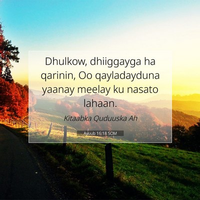 Picture 07 - Ayuub 16:18 SOM - Dhulkow, dhiiggayga ha qarinin, Oo qayladayduna - Bible Verse Picture