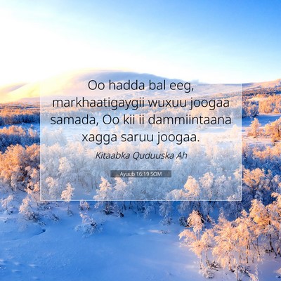 Picture 07 - Ayuub 16:19 SOM - Oo hadda bal eeg, markhaatigaygii wuxuu joogaa - Bible Verse Picture