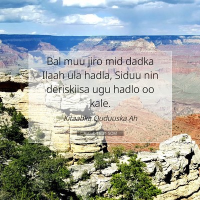 Picture 07 - Ayuub 16:21 SOM - Bal muu jiro mid dadka Ilaah ula hadla, Siduu nin - Bible Verse Picture