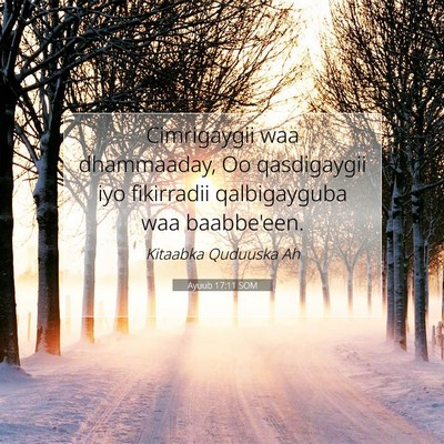 Picture 07 - Ayuub 17:11 SOM - Cimrigaygii waa dhammaaday, Oo qasdigaygii iyo - Bible Verse Picture