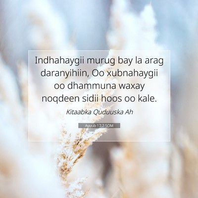 Picture 07 - Ayuub 17:7 SOM - Indhahaygii murug bay la arag daranyihiin, Oo - Bible Verse Picture