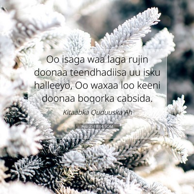 Picture 07 - Ayuub 18:14 SOM - Oo isaga waa laga rujin doonaa teendhadiisa uu - Bible Verse Picture
