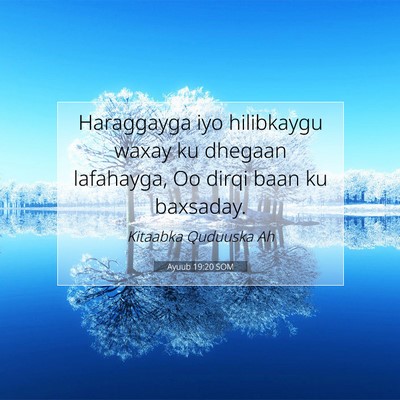 Picture 07 - Ayuub 19:20 SOM - Haraggayga iyo hilibkaygu waxay ku dhegaan - Bible Verse Picture