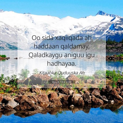 Picture 07 - Ayuub 19:4 SOM - Oo sida xaqiiqada ah haddaan qaldamay, Qaladkaygu - Bible Verse Picture