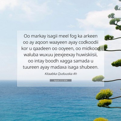 Picture 07 - Ayuub 2:12 SOM - Oo markay isagii meel fog ka arkeen oo ay aqoon - Bible Verse Picture