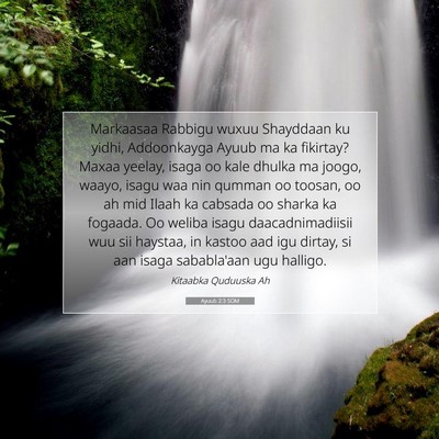 Picture 07 - Ayuub 2:3 SOM - Markaasaa Rabbigu wuxuu Shayddaan ku yidhi, - Bible Verse Picture