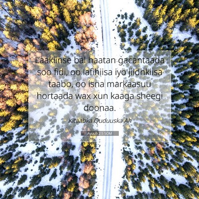 Picture 07 - Ayuub 2:5 SOM - Laakiinse bal haatan gacantaada soo fidi, oo - Bible Verse Picture
