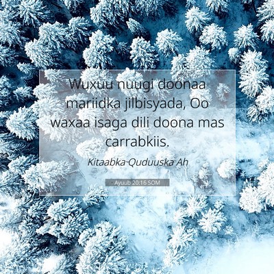 Picture 07 - Ayuub 20:16 SOM - Wuxuu nuugi doonaa mariidka jilbisyada, Oo waxaa - Bible Verse Picture