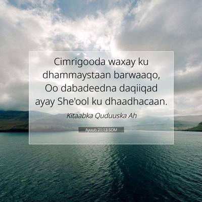 Picture 07 - Ayuub 21:13 SOM - Cimrigooda waxay ku dhammaystaan barwaaqo, Oo - Bible Verse Picture