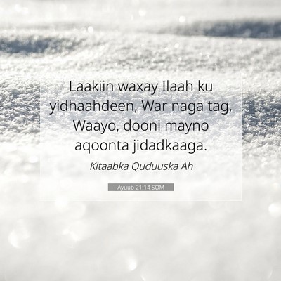 Picture 07 - Ayuub 21:14 SOM - Laakiin waxay Ilaah ku yidhaahdeen, War naga tag, - Bible Verse Picture