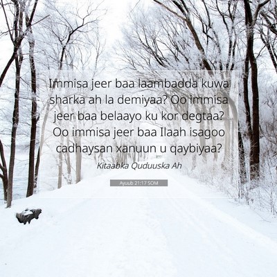 Picture 07 - Ayuub 21:17 SOM - Immisa jeer baa laambadda kuwa sharka ah la - Bible Verse Picture