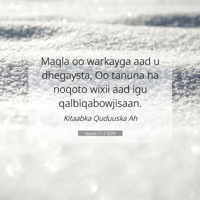 Picture 07 - Ayuub 21:2 SOM - Maqla oo warkayga aad u dhegaysta, Oo tanuna ha - Bible Verse Picture