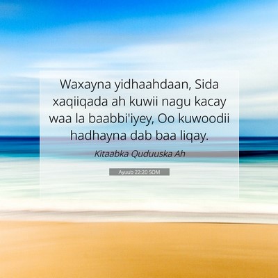 Picture 07 - Ayuub 22:20 SOM - Waxayna yidhaahdaan, Sida xaqiiqada ah kuwii nagu - Bible Verse Picture