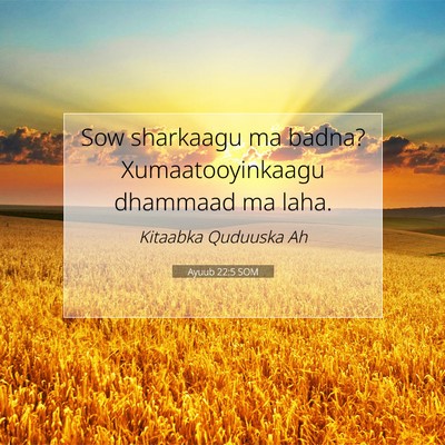 Picture 07 - Ayuub 22:5 SOM - Sow sharkaagu ma badna? Xumaatooyinkaagu dhammaad - Bible Verse Picture