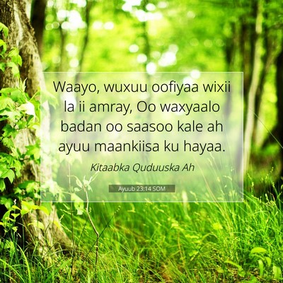 Picture 07 - Ayuub 23:14 SOM - Waayo, wuxuu oofiyaa wixii la ii amray, Oo - Bible Verse Picture
