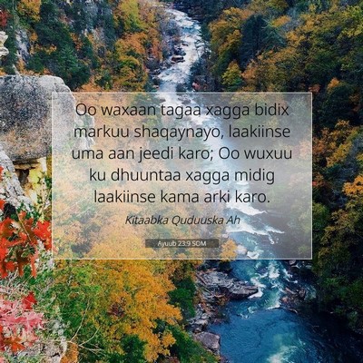 Picture 07 - Ayuub 23:9 SOM - Oo waxaan tagaa xagga bidix markuu shaqaynayo, - Bible Verse Picture