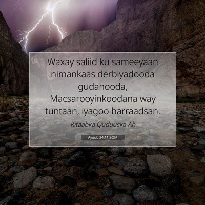 Picture 07 - Ayuub 24:11 SOM - Waxay saliid ku sameeyaan nimankaas derbiyadooda - Bible Verse Picture