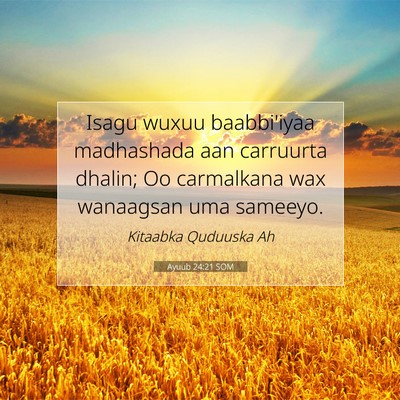 Picture 07 - Ayuub 24:21 SOM - Isagu wuxuu baabbi'iyaa madhashada aan carruurta - Bible Verse Picture