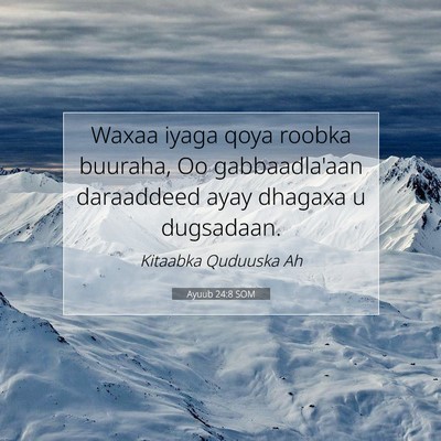 Picture 07 - Ayuub 24:8 SOM - Waxaa iyaga qoya roobka buuraha, Oo gabbaadla'aan - Bible Verse Picture
