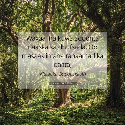 Picture 07 - Ayuub 24:9 SOM - Waxaa jira kuwa agoonta naaska ka dhufsada, Oo - Bible Verse Picture