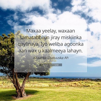 Picture 07 - Ayuub 29:12 SOM - Maxaa yeelay, waxaan samatabbixin jiray miskiinka - Bible Verse Picture