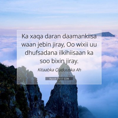 Picture 07 - Ayuub 29:17 SOM - Ka xaqa daran daamankiisa waan jebin jiray, Oo - Bible Verse Picture