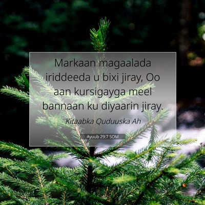 Picture 07 - Ayuub 29:7 SOM - Markaan magaalada iriddeeda u bixi jiray, Oo aan - Bible Verse Picture