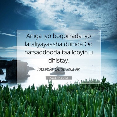 Picture 07 - Ayuub 3:14 SOM - Aniga iyo boqorrada iyo lataliyayaasha dunida Oo - Bible Verse Picture